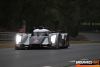 J5-JulieSueur_LeMans2011_Qualifs2_049