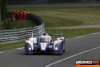 J5-JulieSueur_LeMans2012_EssaisLibres_060