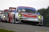 B13-09_ALMS_08_Mosport_Lizard