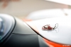 mg_4650_2014_pccf_nogaro_alexis_goure_photographe