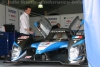 J5-PLM_J_paddock_04