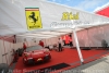 J5-PLM_J_paddock_15