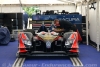 J5-PLM_J_paddock_17