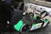 J5-PLM_J_paddock_24