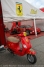 J5-PLM_J_paddock_26