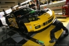 J5-PLM_J_paddock_31