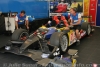 J5-PLM_J_paddock_33