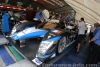 J5-PLM_J_paddock_37