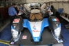 J5-PLM_J_paddock_40