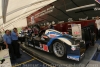 J5-PLM_J_paddock_44