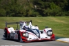 #6 Muscle Milk Pickett Racing HPD ARX-03a Honda: Lucas Luhr, Klaus Graf, Romain Dumas