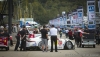 911, PORSCHE NORTH AMERICA (GTLM), Porsche 911 RSR, Porsche, Nick Tandy (GBR), Jorg Bergmeister (GER)