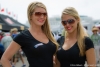 Paddock beauties