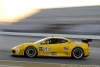 2011 Rolex 24 at Daytona