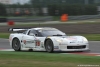 FIA GT ADRIA 2009