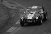 spa-classic-2015-966