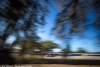 #44 Flying Lizard Motorsports Porsche 911 GT3 Cup: Spencer Pumpelly, Nelson Canache, Archie Hamilton