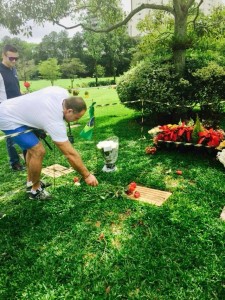 1621666_1503131279967049_5604073393194249661_n