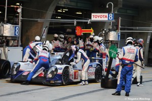 2014_Shanghai_Sunday_2_10