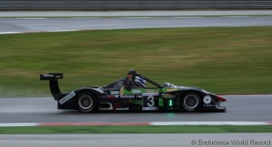 Maxi32_28_Wolf