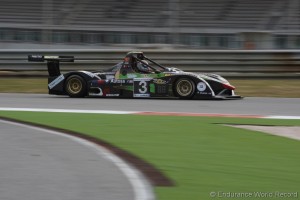 Maxi32_32_Wolf