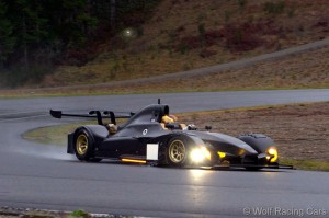 Wolf_gb08f1