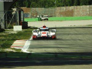 11171543_965643716801622_1115251927_o