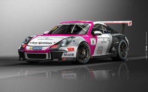 2015_Porsche-CarreraCup_DecoDeNarda_02