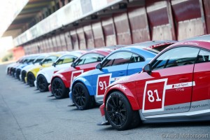 TTCup1