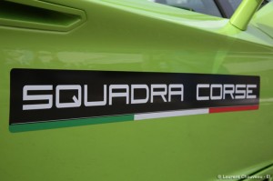 IMG_3495-728x485