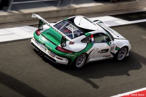 mg_1439_2015_pccf_navarra_alexis_goure_photographe