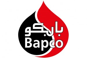 BIC Partners Logos