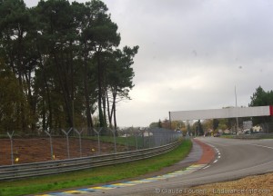 IMGP4352