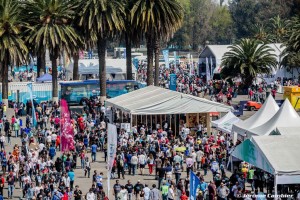Formula ePrix Mexico_ROUND5