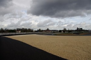 IMGP5179