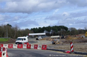 IMGP5196