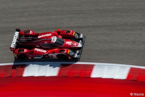 COTA IMSA 2016
