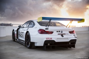 John Baldessari BMW M6 GTLM Art Car #19.