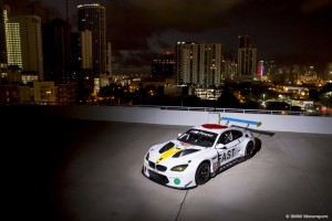 John Balessari BMW M6 GTLM Art Car #19.